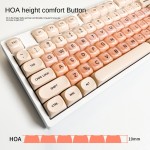 Keycaps Manufacturer - HOA Height PBT Material Boxed Set