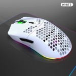 Gaming Mouse Supplier - Wholesale 2.4G Optical Wireless