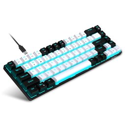 Mechanical Keyboard Factory - HXSJ V800 68-Key