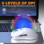 Wireless Mouse Factory - New Arrival HXSJ T68