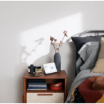 Smart Display Manufacturer - Google Home Nest Hub Max2