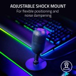 USB Microphone Factory - Razer Seiren V3 Mini Streaming