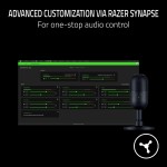 USB Microphone Factory - Razer Seiren V3 Mini Streaming