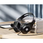 Gaming Headset Supplier - HP DHH-1601 PC Over