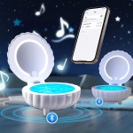 Table Lamp Supplier - Seashell Table Lamps