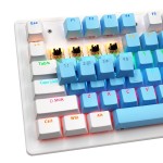Gaming Keyboard Manufacturer - Biojee 104 Keys