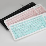 Wired Keyboard Factory - Factory Direct D520 Punk