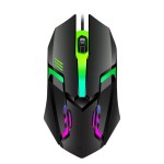 Optical Mouse Manufacturer - 2021 Hot Sale RGB