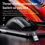 Gaming Mouse Manufacturer - Type C Triple Mode RGB