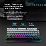 Mechanical Keyboard Factory - New Factory Tri Mode 75 Percent