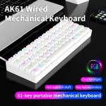 Gaming Keyboard Manufacturer - AK61 60 Percent RGB