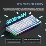 Mechanical Keyboard Factory - New Factory Tri Mode 75 Percent