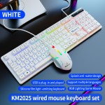 Gaming Keyboard Factory - Top Selling KM2025 Rainbow Waterproof