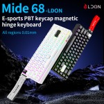 Gaming Keyboard Factory - LDON 68 RGB Wired Magnetic Switch