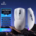 Gaming Mouse Manufacturer - Type C Triple Mode RGB