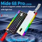 Gaming Keyboard Manufacturer - LDON 68pro 8000Hz Magnetic