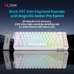 Mechanical Keyboard Manufacturer - LDON 68 8000Hz Magnetic