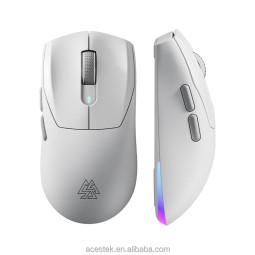 Gaming Mouse Manufacturer - Type C Triple Mode RGB