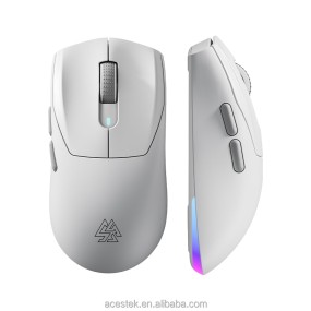 Gaming Mouse Manufacturer - Type C Triple Mode RGB