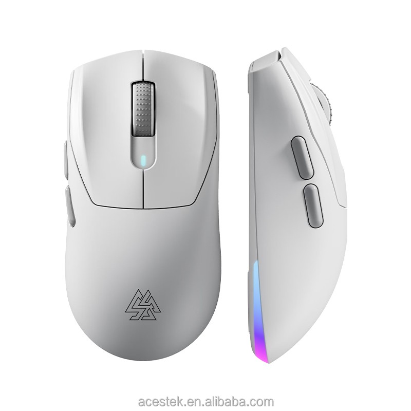 Gaming Mouse Manufacturer - Type C Triple Mode RGB
