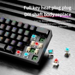 Gaming Keyboard Manufacturer - AK61 60 Percent RGB