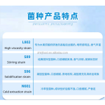 Vrum酸奶发酵剂发酵DIY儿童乳杆菌固体酸性奶粉