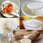 商业高粘度酸奶发酵剂固体乳酸菌发酵包装在一袋儿童