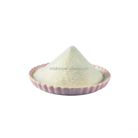 Solid Yogurt Base Powder for Children Cold Brew Coffee & Chocolate Flavored Dried Packaged in Bag