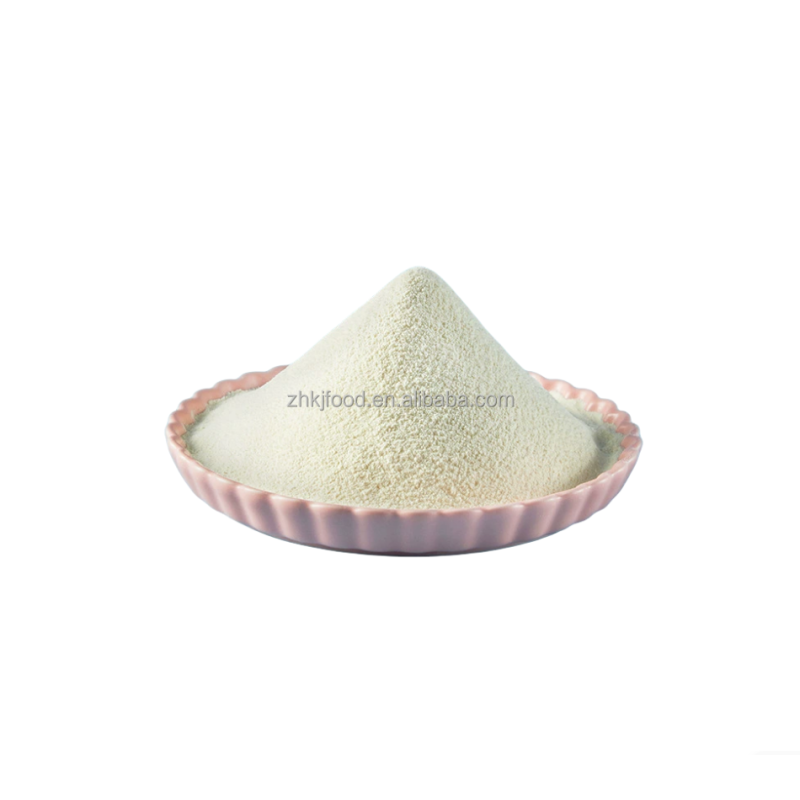 Solid Yogurt Base Powder for Children Cold Brew Coffee & Chocolate Flavored Dried Packaged in Bag