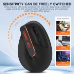 Wireless Mouse Manufacturer - 2.4G+BT Wireless 6D