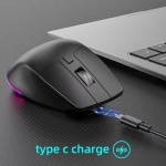 Gaming Mouse Manufacturer - 2.4G+BT Wireless 6D