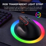 Wireless Mouse Manufacturer - 2.4G+BT Wireless 6D