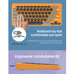 Ergonomic Combo Factory - Ergonomic Multi-color Compact