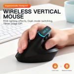Wireless Mouse Manufacturer - 2.4G+BT Wireless 6D