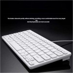 Custom Keyboard Supplier - Customized French Japanese