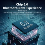 BT Adapter Supplier - The Newest USB BT 6.0