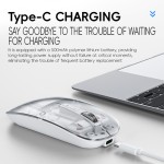 Transparent Mouse Factory - New Arrival Rechargeable