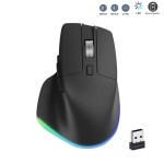 Gaming Mouse Manufacturer - 2.4G+BT Wireless 6D