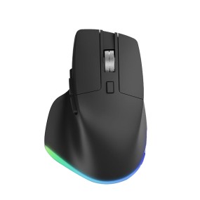 Gaming Mouse Manufacturer - 2.4G+BT Wireless 6D