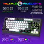 Gaming Keyboard Manufacturer - G69 87-Key RGB
