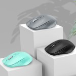 Wireless Mouse Manufacturer - Optical 2.4G BT Windows Mac