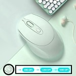 Wireless Mouse Manufacturer - Ergonomic 2.4G 1600 DPI AAA