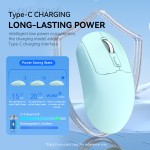 Gaming Mouse Supplier - Ergonomic Dual-Mode 2.4G