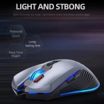 Mechanical Mouse Supplier - FRIWOL V6 Wired USB RGB