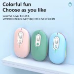 Optical Mouse Manufacturer - Ergonomic 3D Mini Wireless