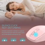 Gaming Mouse Manufacturer - OEM USB 2.4G BT Dual Mode