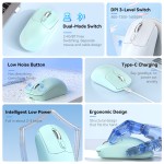 Wireless Mouse Manufacturer - Ergonomic 2.4G BT Dual