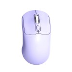 Wireless Mouse Manufacturer - Ergonomic 2.4G BT Dual