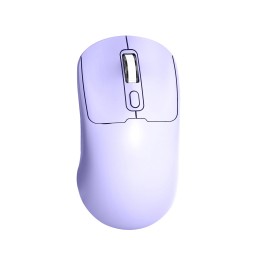 Wireless Mouse Manufacturer - Ergonomic 2.4G BT Dual
