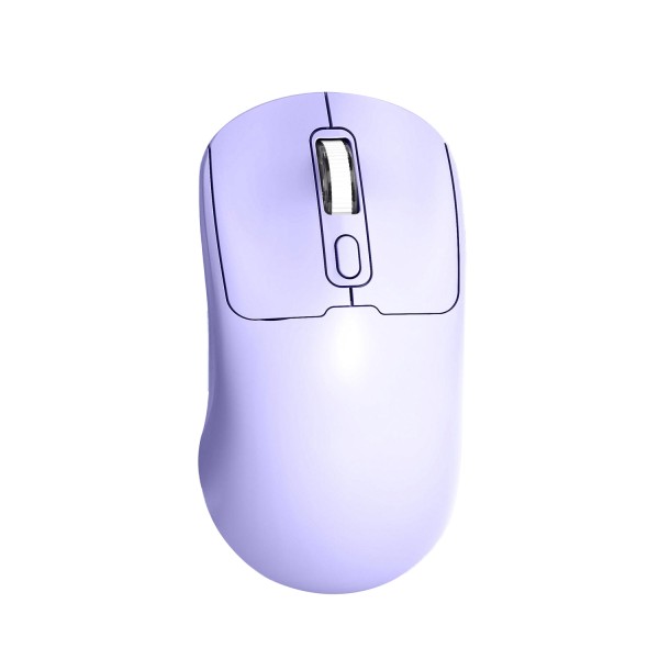 Wireless Mouse Manufacturer - Ergonomic 2.4G BT Dual